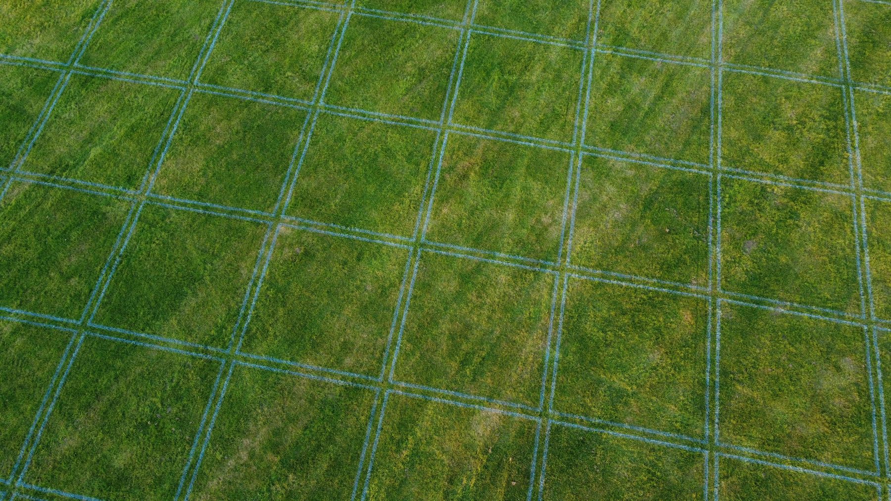 Aerial view of an evenly spaced grid of blue rectangular boxes painted on a grass field