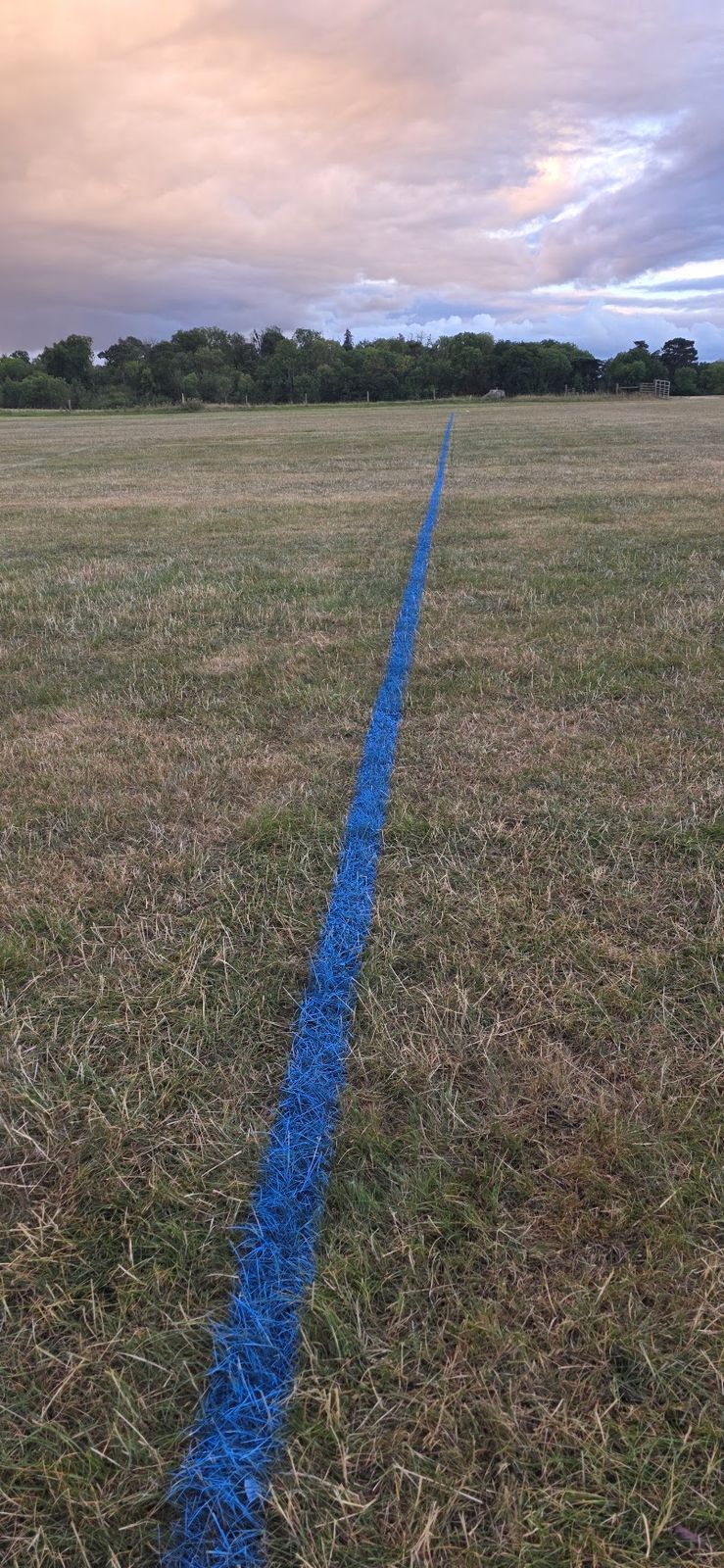 A vivid blue painted line running across a grass field beneath an evening sky