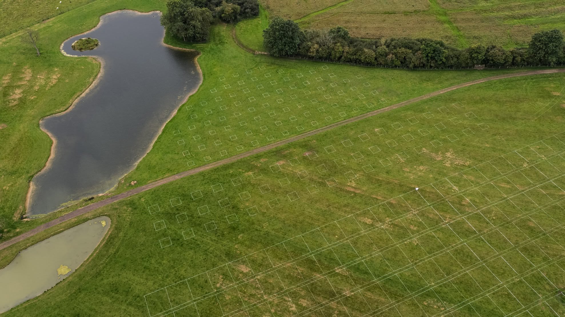 Aerial view of white audience boxes and a parking grid marked on grass beside a lake