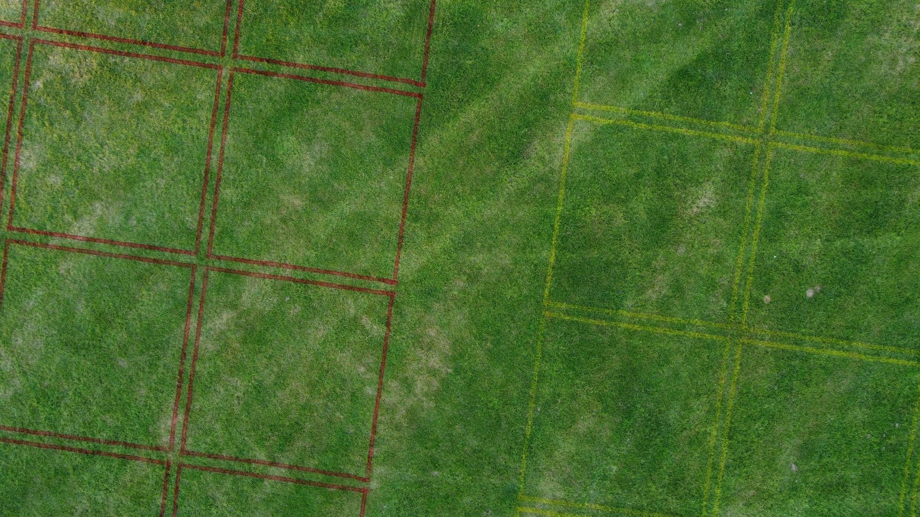 Aerial view of red and yellow rectangular plots and routes painted on green grass