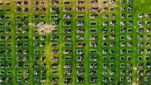 Aerial view of people seated in spaced-out rows on a grassy field, possibly during an outdoor event, with precise event site marking ensuring orderly arrangement.